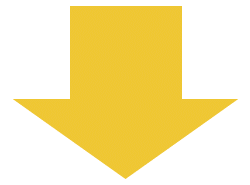 image1.gif