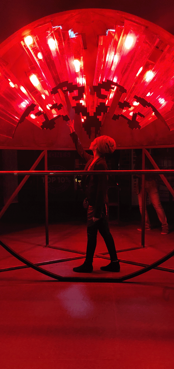 BIC-02.gif