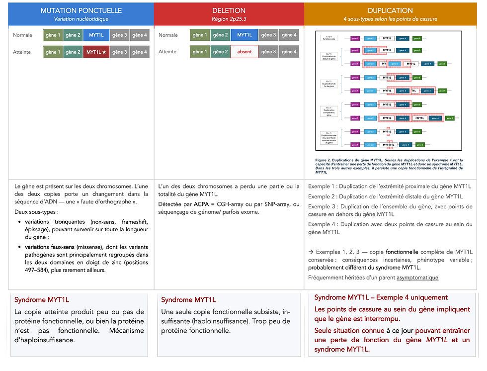 Design sans titre (1).png