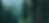 green forest_edited.png