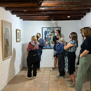 Contemporary Art Museum Spain guided tour by the curator