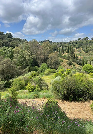 La Baltasara landscape.jpg
