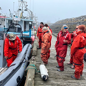 Whale watching bay of Funady Small group travel