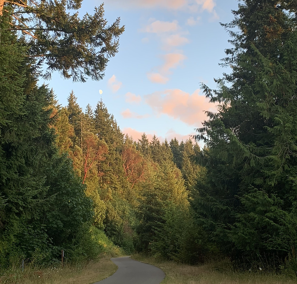 Sunset Elwah Valley Trail.jpg