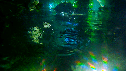 tumblr_static_tumblr_static_filename_640