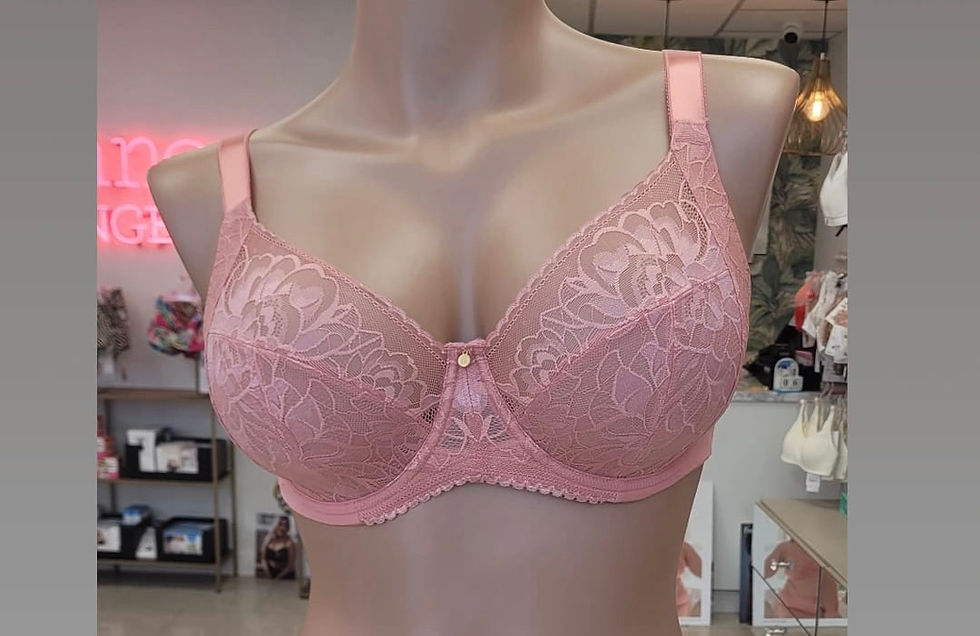 Are youWearing the Right Bra Size? Why a Professional Fitting Can Transform Your Confidence