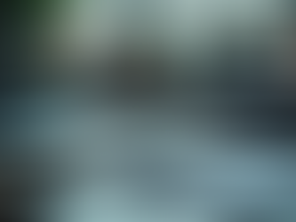 Domestic Investigations for Personal Matters