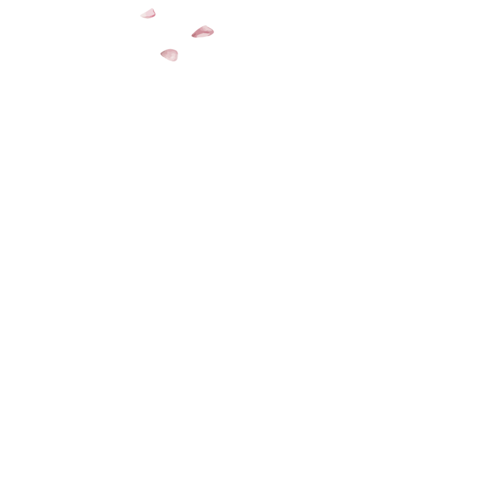 花瓣2.gif