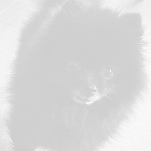 CloseUp_edited.jpg