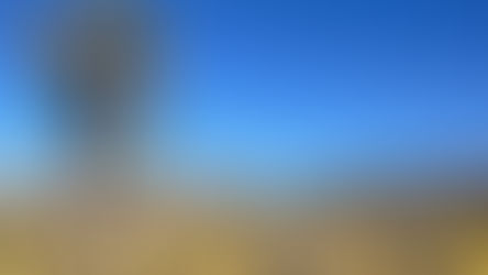 Joshua Tree: High Drama, Low Wi-Fi