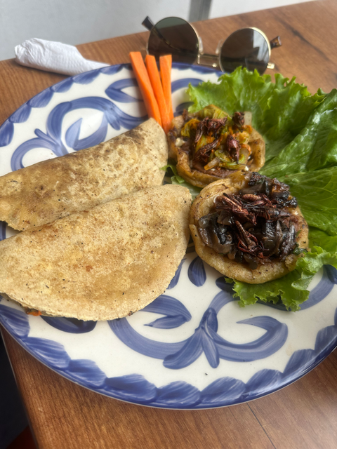 Plato con tortillas, lechuga, zanahoria y otros ingredientes en diseño floral