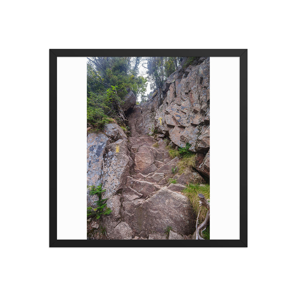 Thumbnail: Mt. Osceola Chimney - White Mountain National Forest