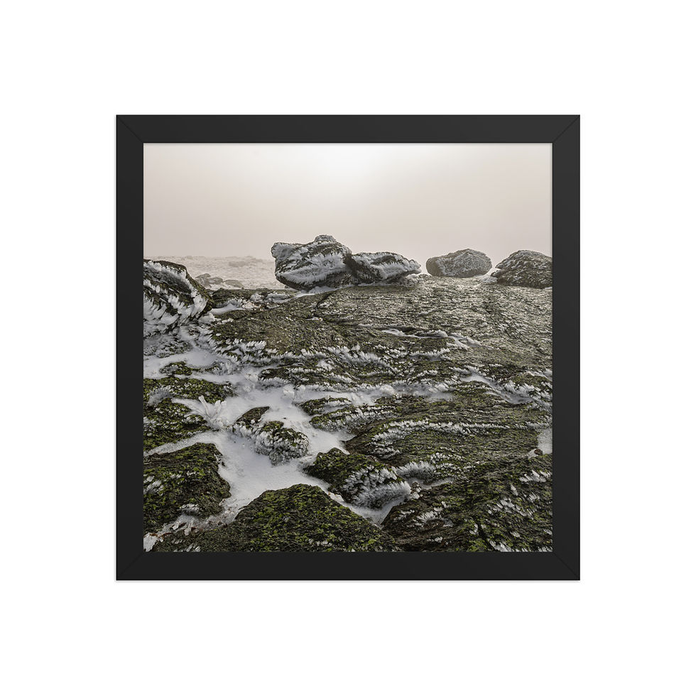 Thumbnail: Riney Glacier Scattered Rocks | Mount Washington, New Hampshire | Wall Art