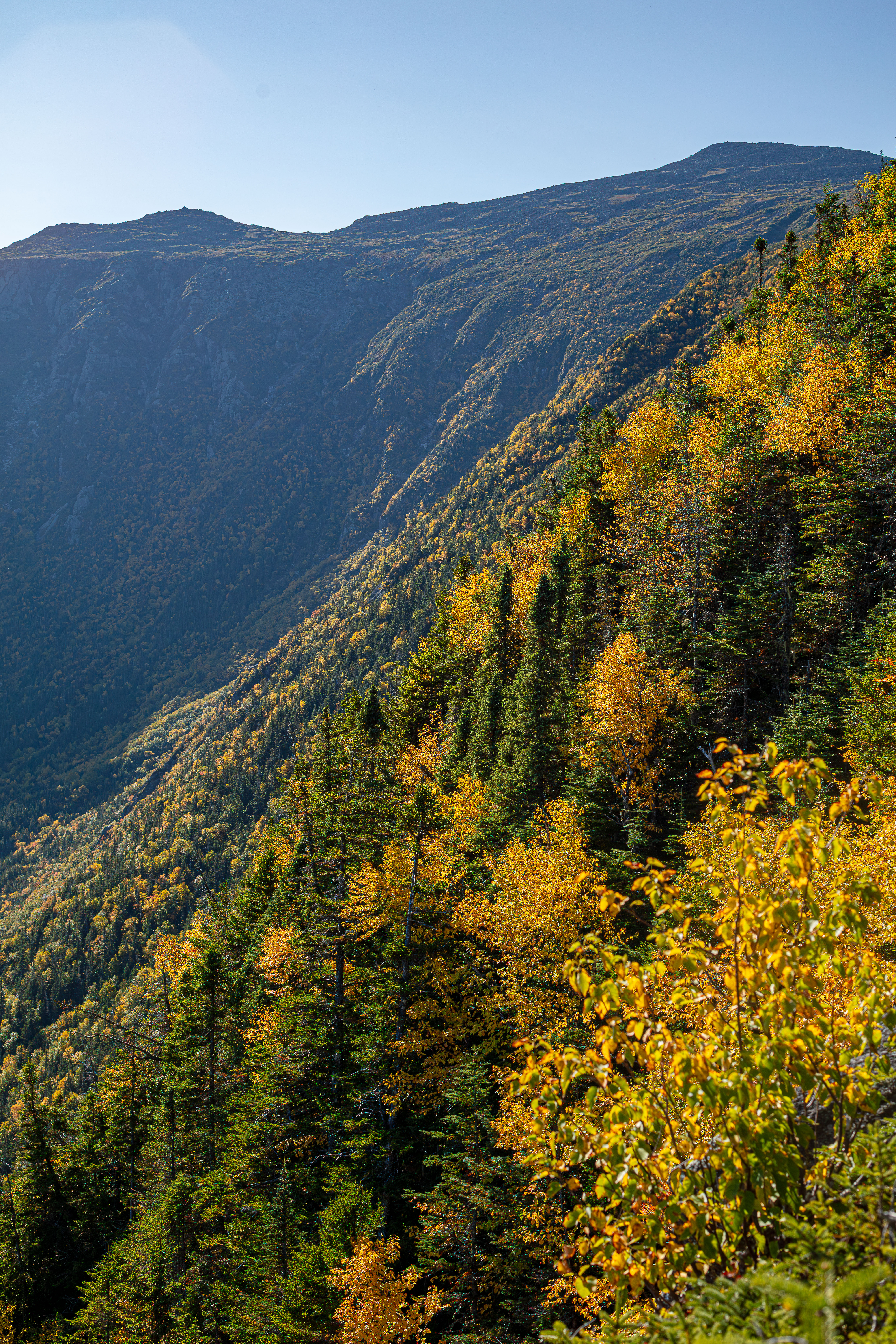 Spur Trail & Newell Ridge in Autumn