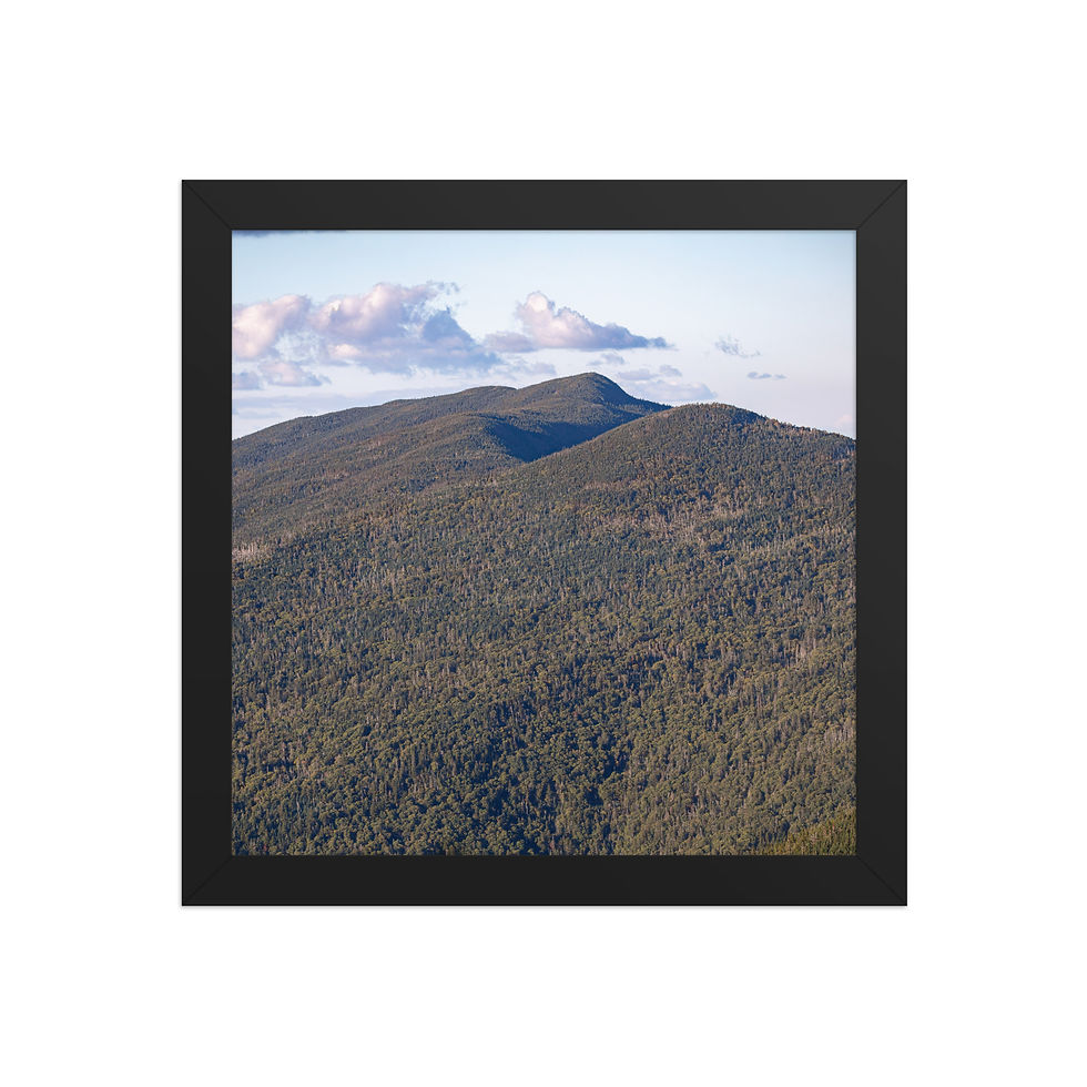 Thumbnail: South, Middle & North Carters | White Mountain National Forest - New Hampshire