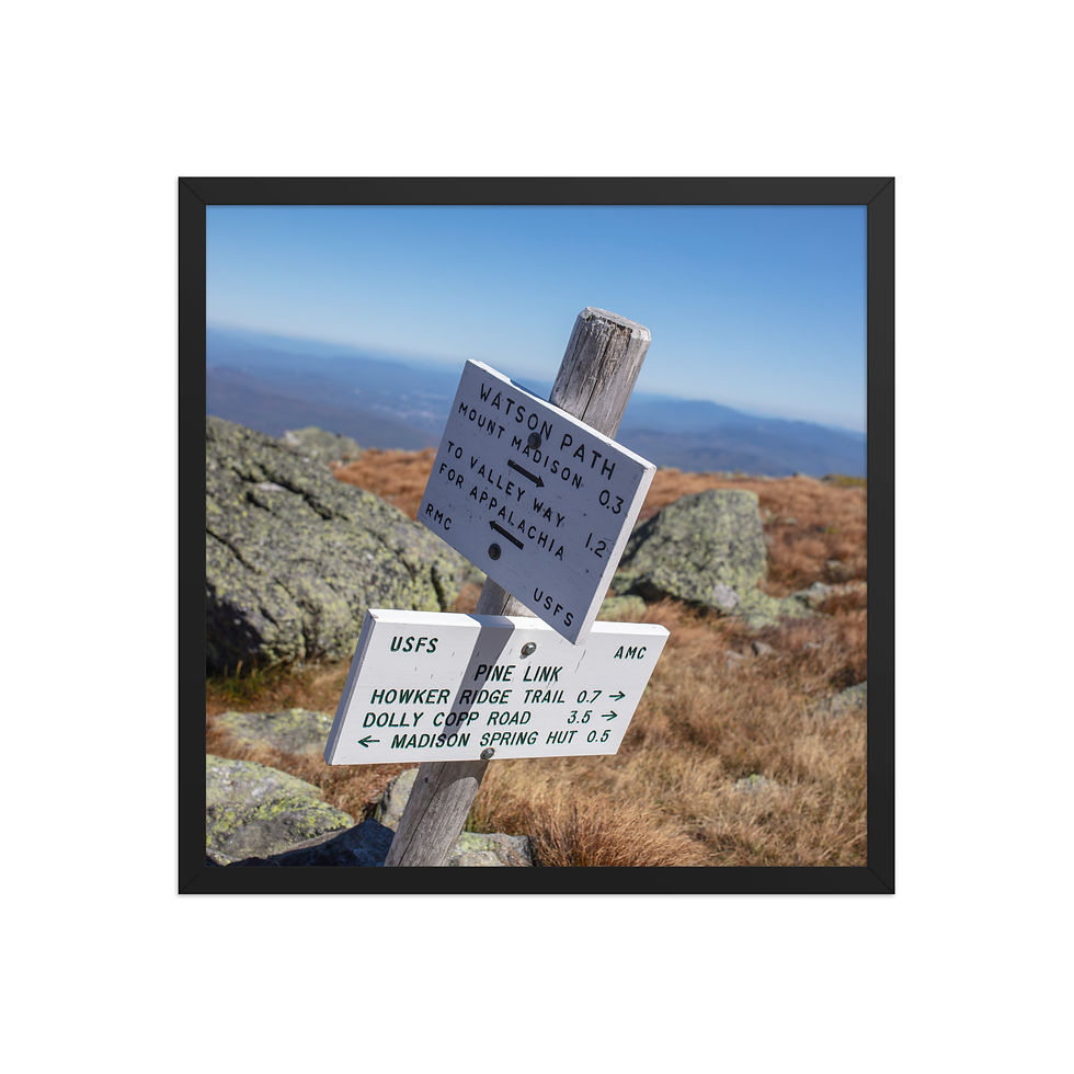 Thumbnail: Mt. Madison - Watson Trail Sign & Autumn Grasses