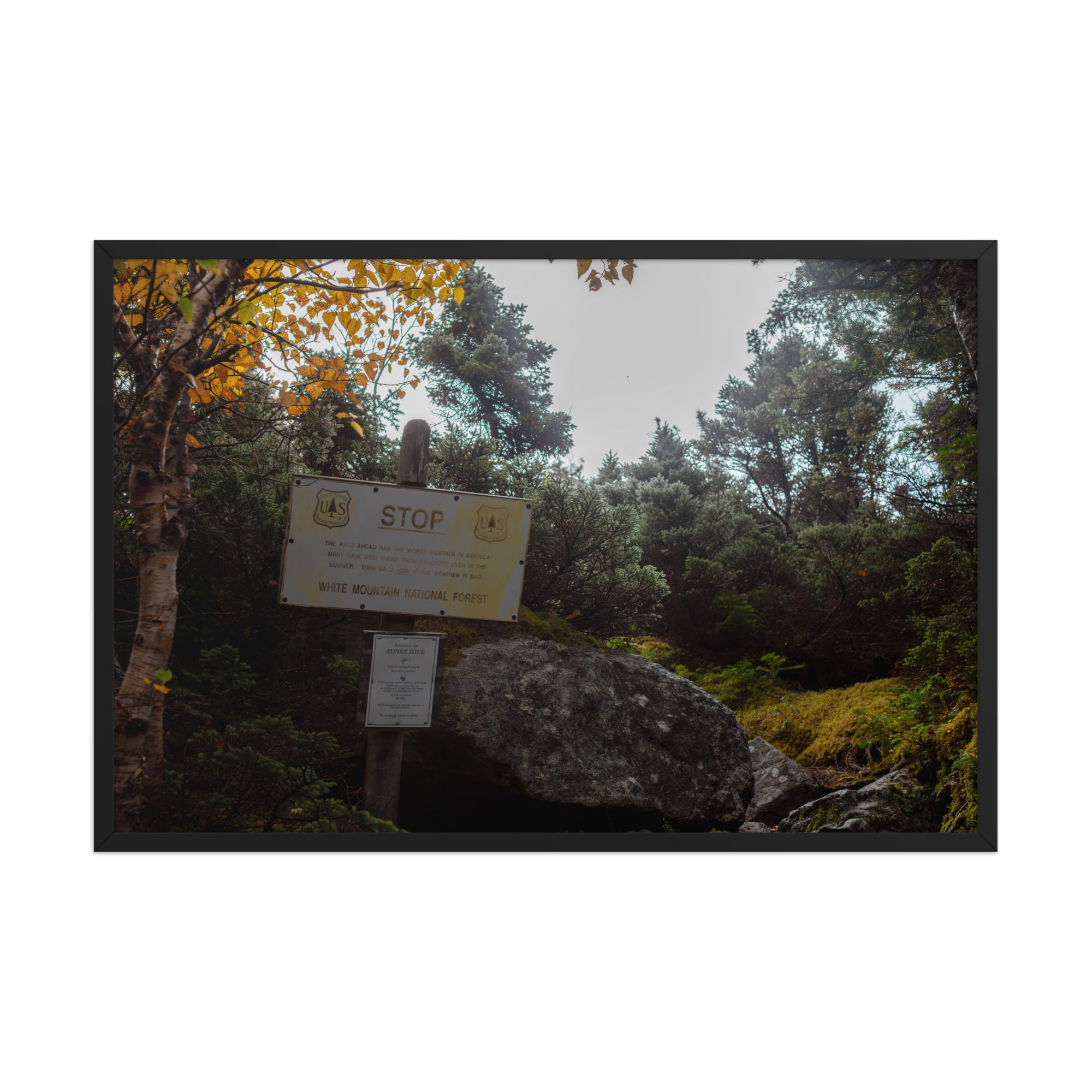 White Mountains STOP Sign - Presidential Range