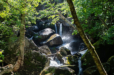 Hitchcock Falls cascading over boulders in sunlit forest on Howker Ridge.