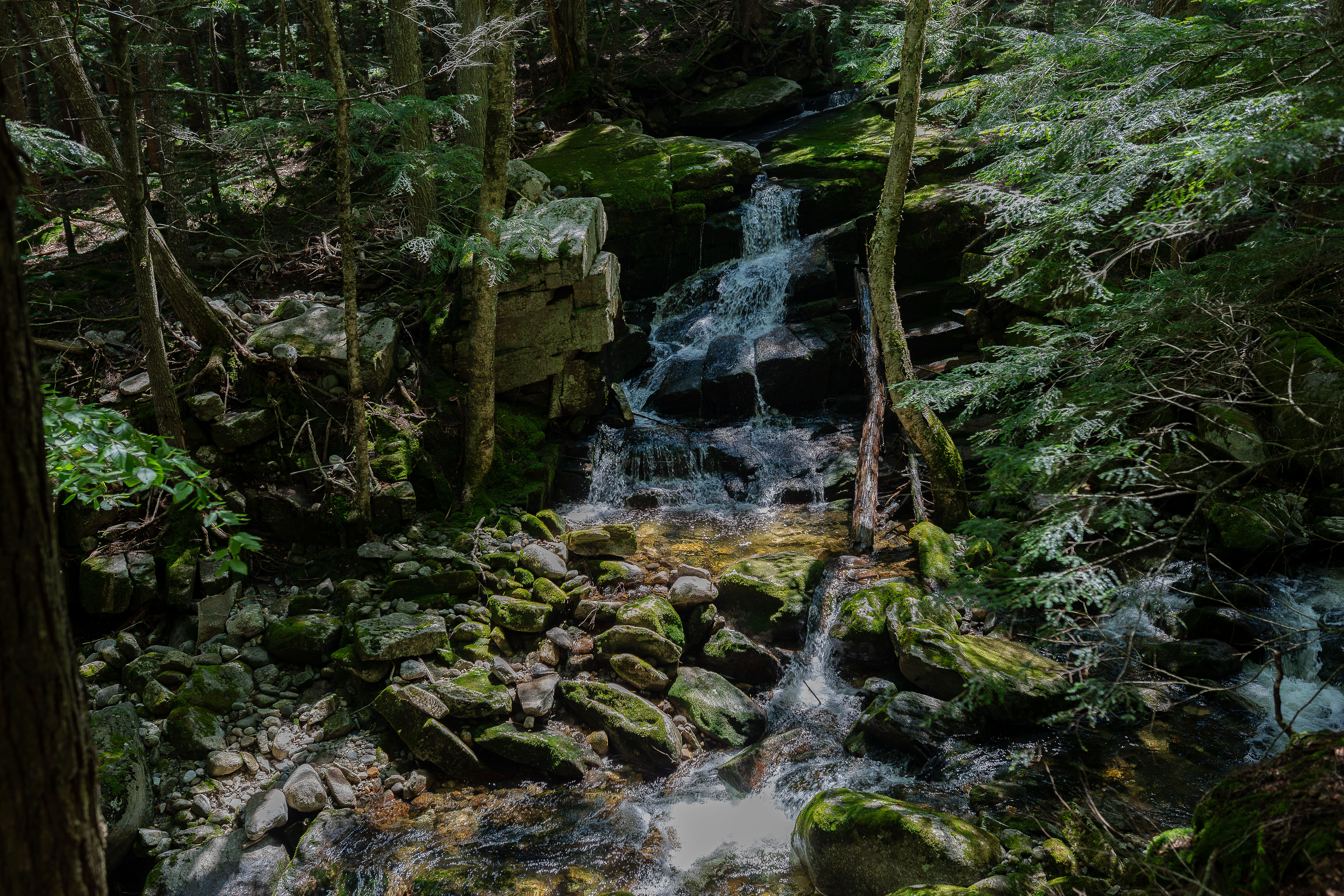 Mossy, Green Staircase Falls in summer. White Mountains Presidential Range New Hampshire