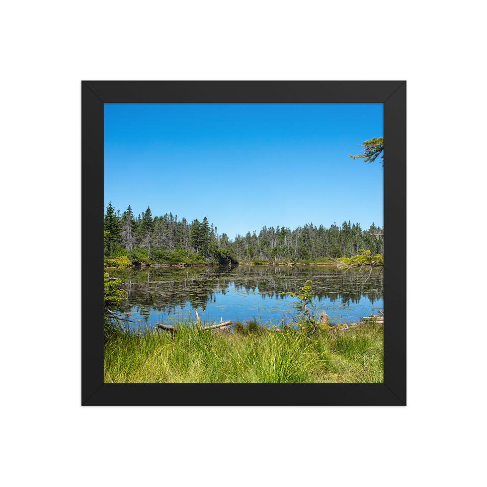 Thumbnail: Garfield Pond - White Mountain National Forest