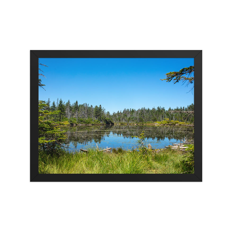 Thumbnail: Garfield Pond - White Mountain National Forest