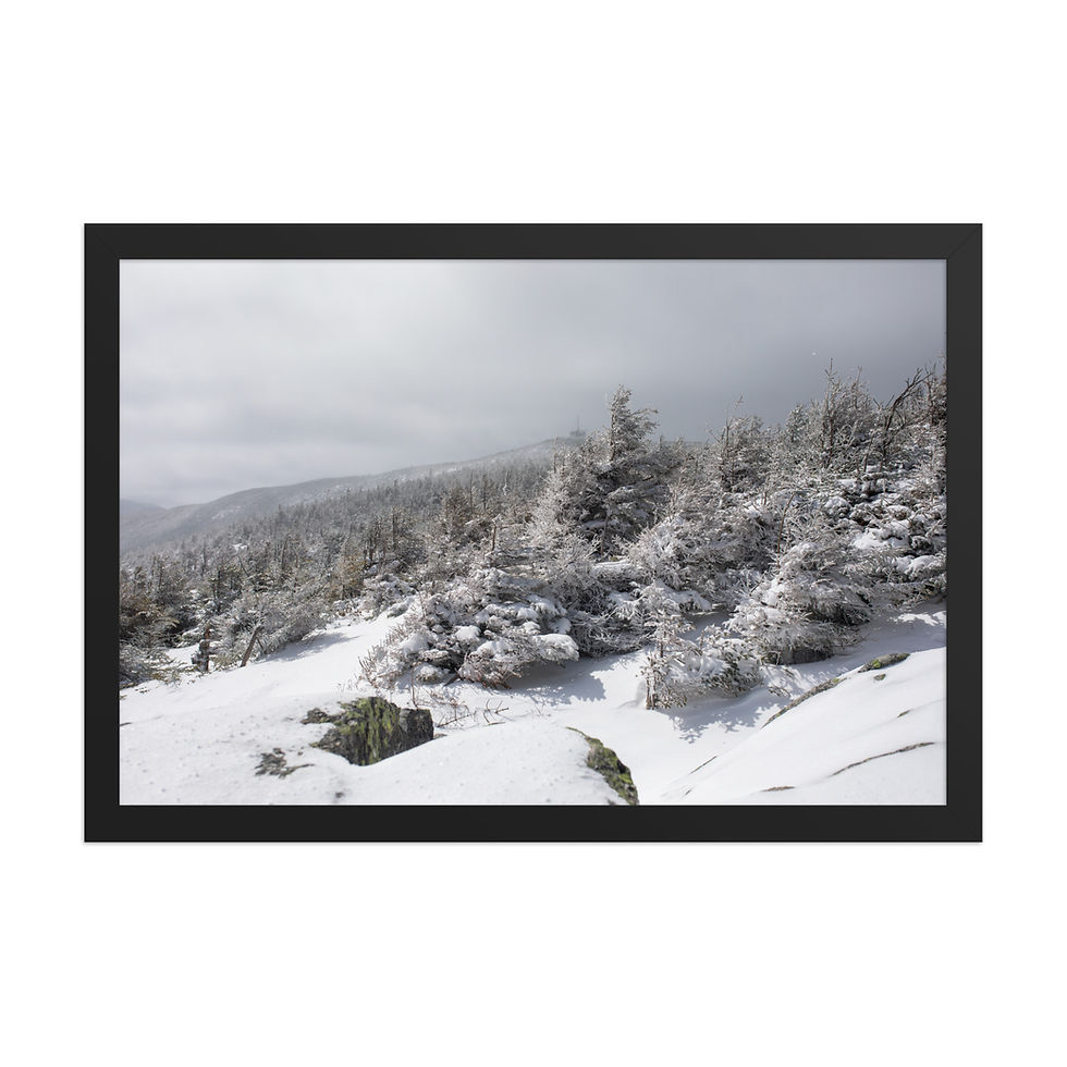 Thumbnail: Snow & Cloud Swept Cannon - White Mountain National Forest, New Hampshire