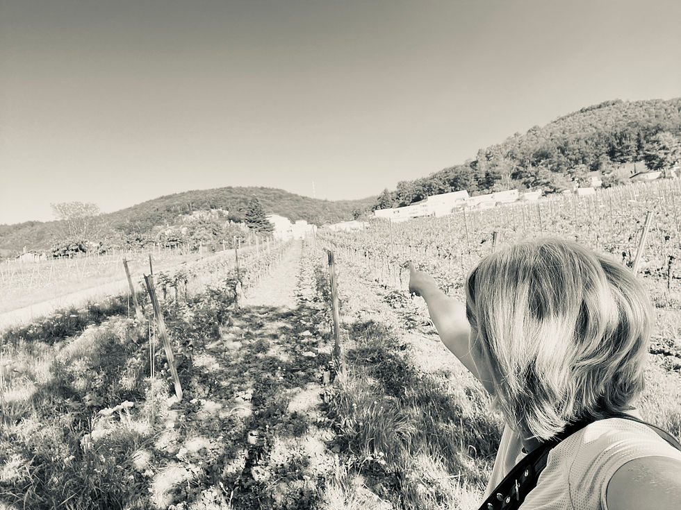 Bibi Wingert Schwarz-Weiß.jpg