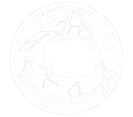 Elite Boxing Logo
