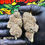 Thumbnail: TASTY TUBE PACKAGE #2