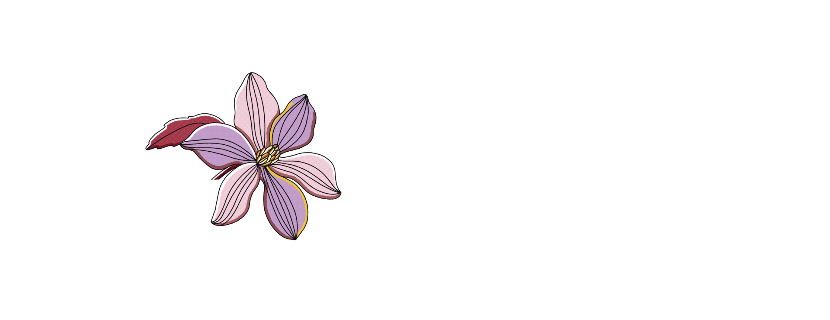 Untitled_Artwork 8.gif