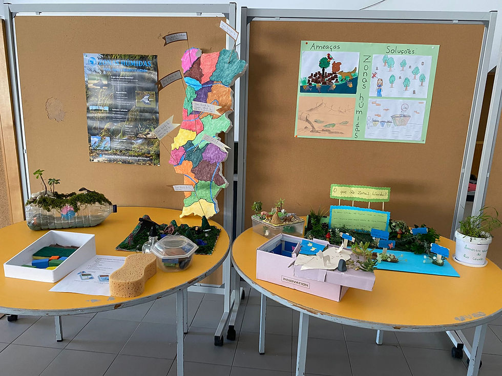 Desafio WETLANDS - um tesouro a conservar . Trabalhos em exposição