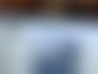 Quercus lusitanica / projeto LusoQuercus