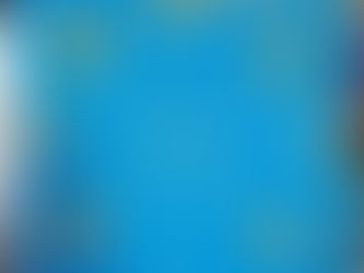 Exposição "Rosa dos ventos" sustentáveis na EBVV