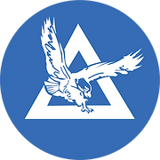 Delta Steel Inc logo