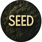 seed.jpg