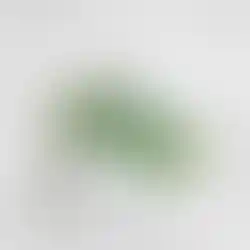 Flacon de shampoing antipelliculaire posé sur un support transparent avec des feuilles vertes.