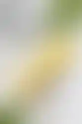 Crème solaire jaune SPF 40 pour le visage avec coquillages et feuilles de palmier.