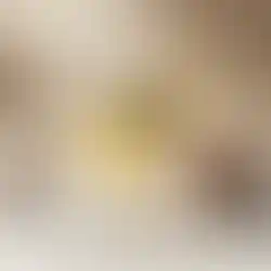 Flacon d'eau de toilette incliné sur un socle en marbre avec des poids en boit et des éléments secs.