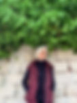 Aseel sadi