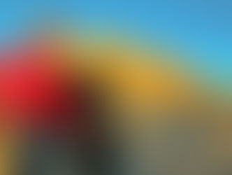 HAKKI NEVZAT MENTE NEMRUT DAĞINDA