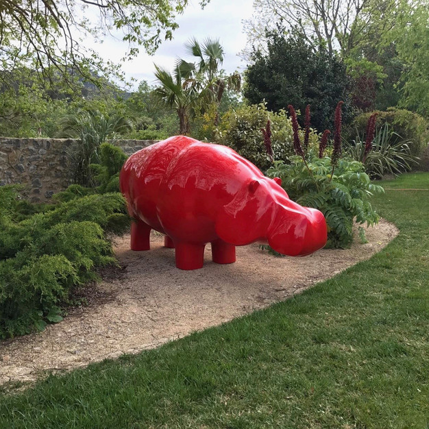 Hippo