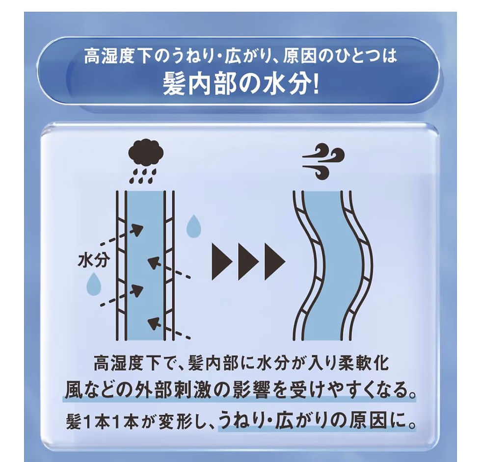 縮圖：【日本】THE ANSWER 春夏限定 超級層狀修護洗髮露 SS