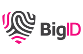 Logo_BigID Gray-Pink Horizontal .png