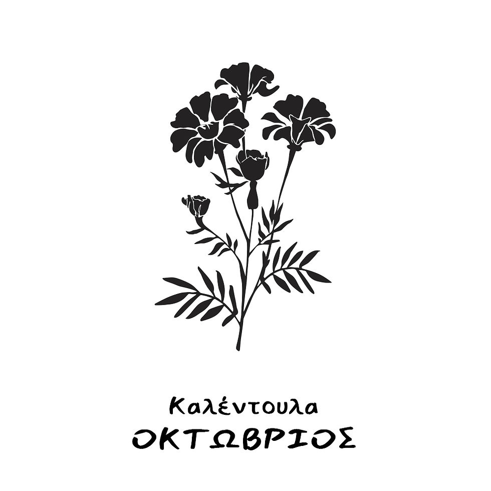 Μικρογραφία: Kολιέ λουλούδι γέννησης, Οκτώβριος, Καλέντουλα, με Λευκό Χαλαζία.