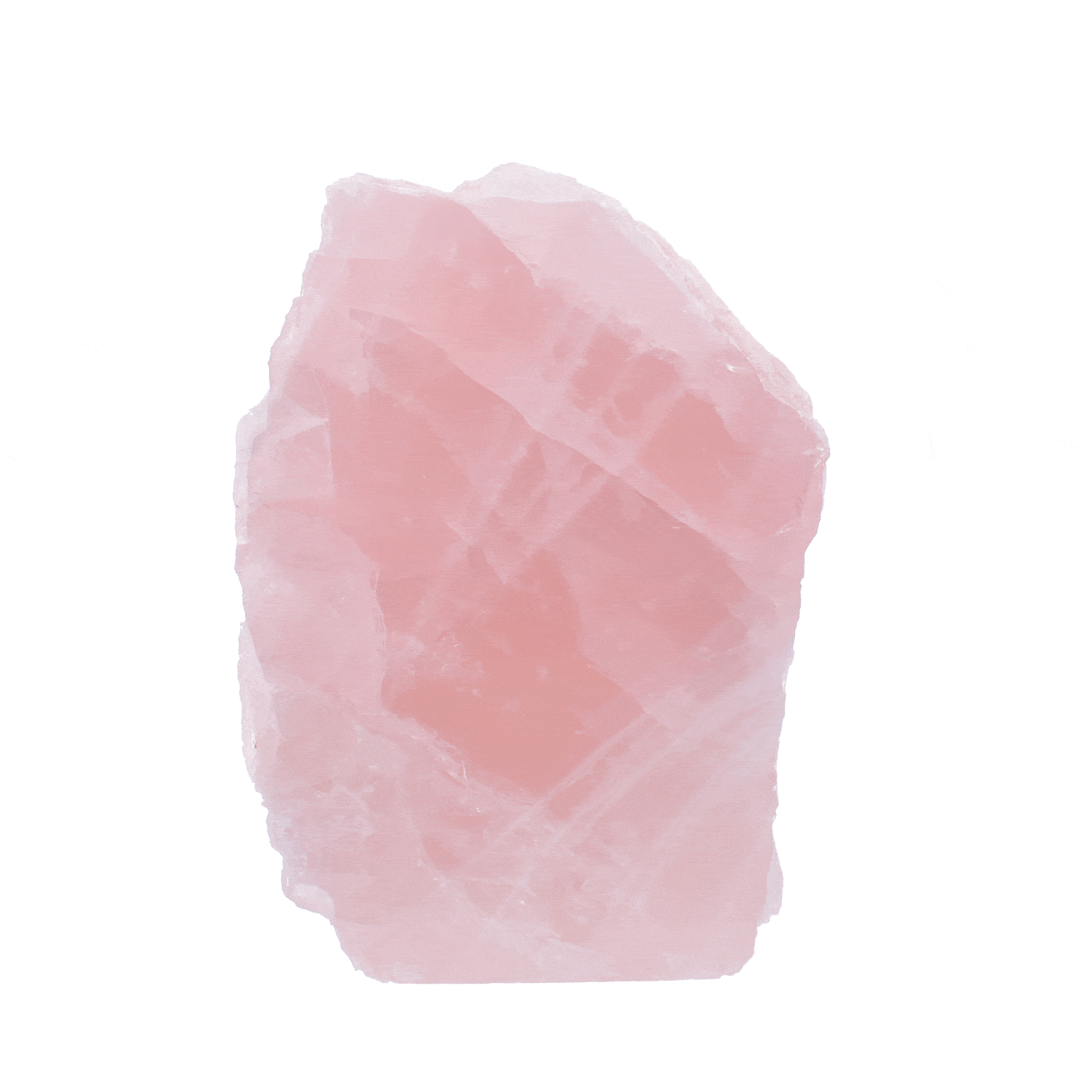 ROSEQ1-11.gif