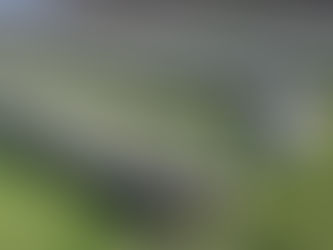 Winter cover removed. Ready to come Alive!