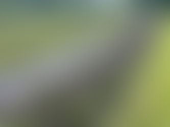 The final rows for this harvest