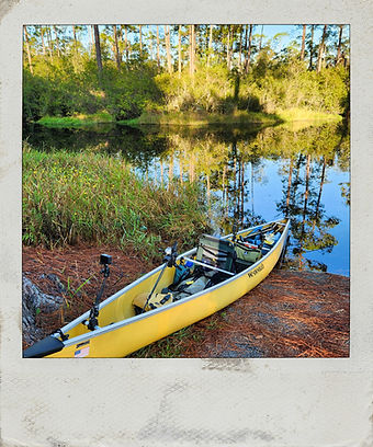 20241112_080306 (1).jpg