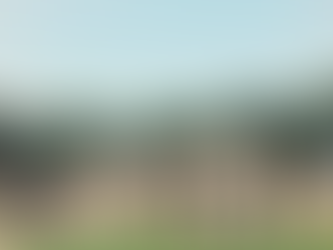 What Defines a Luxury Home in Today’s Market? A Closer Look at Prices, Trends, and Financing