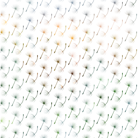 Dandelion Seed Pattern